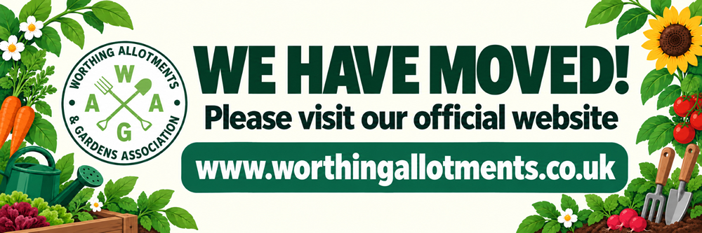 Visit our new website